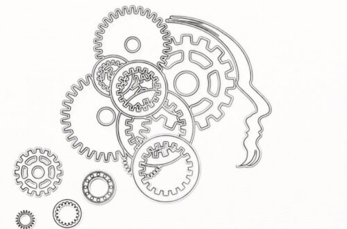 Los sesgos cognitivos al invertir